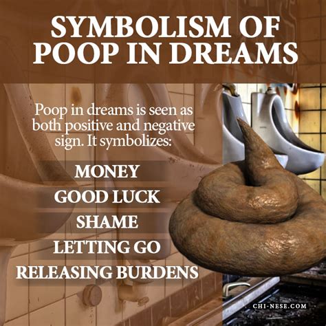 dream of poop everywhere|dreaming of poop means money.